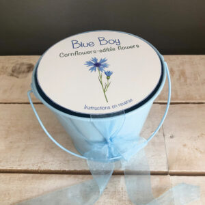 Children's Gardening Cornflowers Bucket