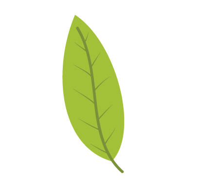 Children's Gardening Small Leaf Vector