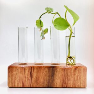 Children's Gardening Propagation Tubes