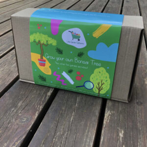 Children's Gardening Box