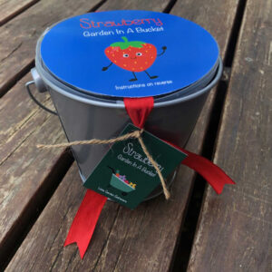 Children's Strawberry Gardening Bucket