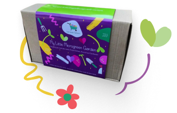 Micro-green Garden box for children