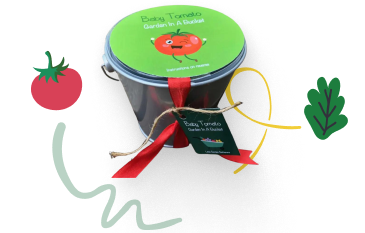Children's Gardening Tomato Bucket