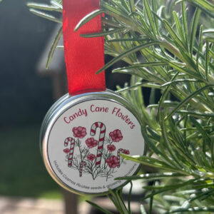 Candy Cane Flowers