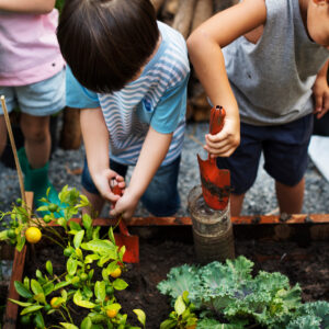 Bunny Garden Workshop