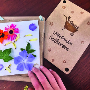 Flower Pressing Fun